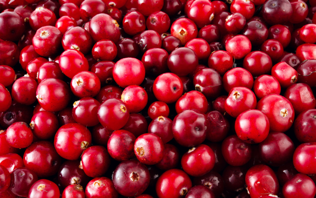 The benefits of cranberry!