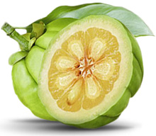 Garcinia Cambogia, all hype or all worth it?