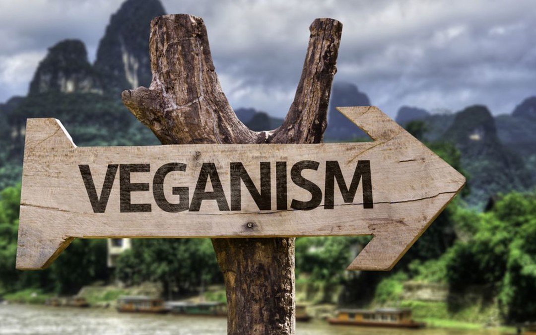Celebrity Veganism- all health or all hype?