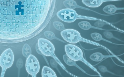 What’s at the root of your fertility issues?